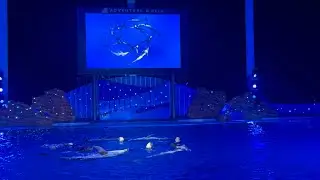 【ナイトマリンライブLOVES19:15公演】（2025年8月7日）アドベンチャーワールド夜のイルカショー