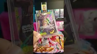 Extended Art Case One Piece Showcase - Law