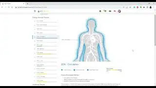 NES Health Scan Overview Infoceuticals and miHealth PEMF/Microcurrent device