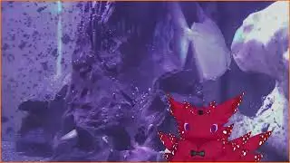 VOD: Fixing up some issues on the swaria shmoogle &bull; !discord &bull; !playlist