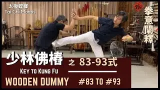 華藝精武【拳意闡釋】 - 少林佛樁 之83至93式