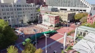 Tallest live Christmas tree in Texas arrives at Sundance Square Plaza