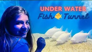 Under water fish tunnel expo 📍 || Eiffel Tower  || Vlog  I@YouTube  @viralhog ​⁠||