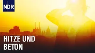 St&auml;dte immer hei&szlig;er: Was tun gegen die Versiegelung? | Doku | NDR Story
