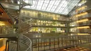 Chapter 4 | Workplace Differences
