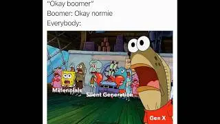 OK Boomer - Meme Compilation