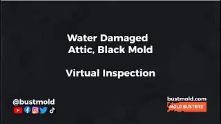 Water Damaged  Attic, Black Mold  Virtual Inspection #shorts
