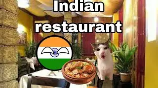 indian restaurant meme (extended version coming soon🤗)   #cat #catmemes