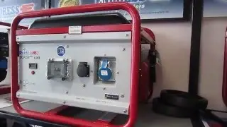 Ремонт и техническое обслуживание генераторов Endress ESE 306 Duplex Plus Line