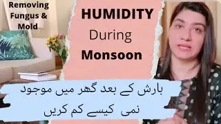 Keep Your Home Moisture Free | Monsoon Rains | Home Care | Monsoon hacks for home