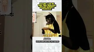 KUCING LIAR INI TIBA TIBA MENJADI BESAR SEPERTI MANUSIA!