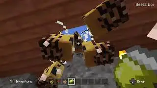 Minecraft part 6 the spiders bees and fox