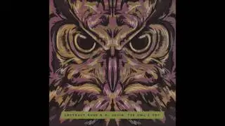 Abstract Rude & DJ Vadim - The Owl's Cry