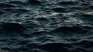 Blue Whale song|| ALL I WANT|| The hypnotic song