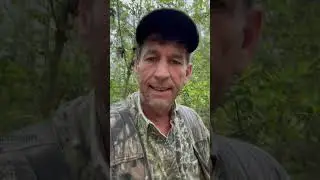 Sounds of SPRING!     Follow me here for more!    #turkeyhunting #redneck #hunting #turkey #follow