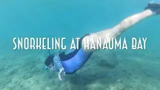 Octopus Sighting! - Snorkeling at Hanauma Bay | 4K