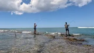 Beautiful Day Fishing on the Reef!  | Live Oama
