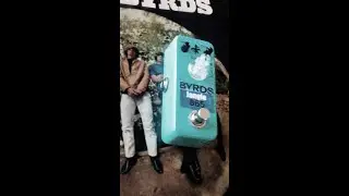 BYRDS  JANGLE B-65 effects Pedal by RIVIERA - PART 2 Demo