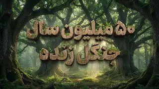 راز ۵۰ میلیون ساله! مستند جنگل&zwnj;های هیرکانی | The Ancient Hyrcanian Forest Secrets