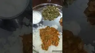 Today's Lunch I Vendakkai Kuzhambu I Avarakkai Poriyal I Curd I Lioness Creations