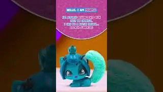 Warning: she splashes! 💫 Say hi to Mermie #QTKitties #MeetMermie #cutecats #mermaidlife #mermaidcat