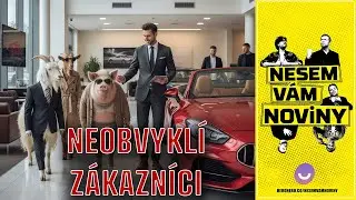 Zvířátka se šla podívat do autosalonu s luxusními vozy