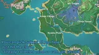Special Sakura Bloom Genshin Impact Xudong
