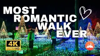 Experience Tranquility: 4K Walking Tour of Japanese Garden Winter Illumination
