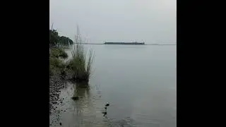 Tarbela Dam River View 2021 | Tarbela Dam video | Indus River in Tarbela Dam | Natures Beauty