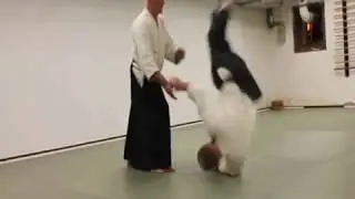 Aikido Basic Hara Movement by Sensie Terry Ezra Shihan