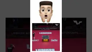 Reaction - Table Tennis Championships men's final between Ma Long and Fan Zhendong #shorts