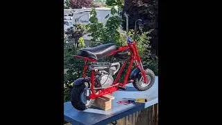 Mini Bikes Taking Over! #minibike #bikelover #trending