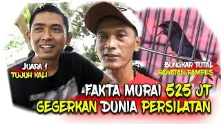 NGERINYA ANDRI BOLANG SEPAK TERJANGNYA BIKIN GEGER DUNIA PERSILATAN [ RAMPES] KOPDAR SMM FEAT SGS