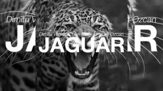 Dimitri Vegas & Like Mike vs. Ummet Ozcan - Jaguar (Original Mix)