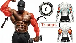 &ldquo;6 Best Triceps Workouts for Massive Arm Gains | Ultimate Triceps Training Guide 2025&rdquo;