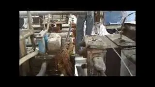 RIGID PVC PROFILE PLANT