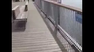 Steeplechase pier
