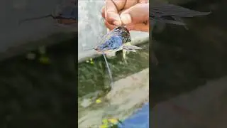 😱🎣 Big Fish Fishing | Amazing Catch🐠