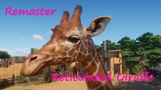 Reticulated Giraffe Remaster by Narwhaler - Planet Zoo Mod