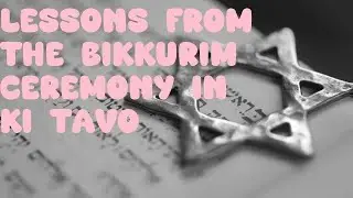 Unity in the Torah: Lessons from the Bikkurim ceremony in Ki Tavo #judaism #kabalahyoga  #israel