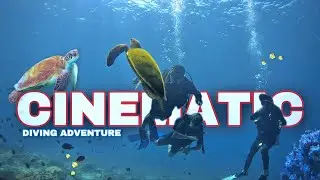 Gopro 10 Cinematic Diving Adventure at Daymaniyate Islands