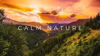 Calm Nature - Background Music for Yoga, Meditation & Relaxation