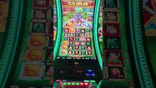 Dollar Bet Golden Buzzsaw