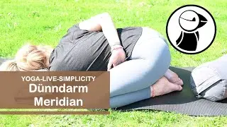 Dünndarm Meridian Yin Yoga - Video Nr. 88