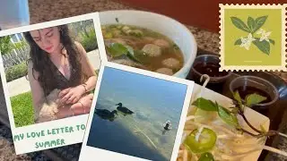 My love letter to summer! ✮ ⋆ ˚｡𖦹 ⋆｡°✩