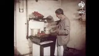 How cricket balls were made in old times😱😱👍👍