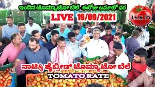 #jsktv tomato rate #live auction #tomatopricetoday #hybred&nati tomato price #19/09/2021