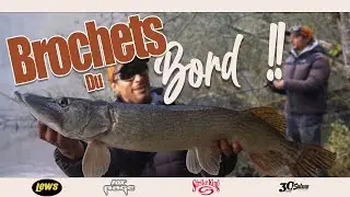 👀 Gros Brochet du Bord  #foxrage #paullunaud