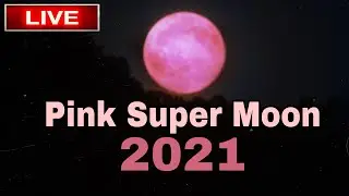 Look out for a Pink Super Moon tonight [Live] !! pink super moon live!! full moon 2021 live.
