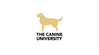 Online Dog Training - The Canine University